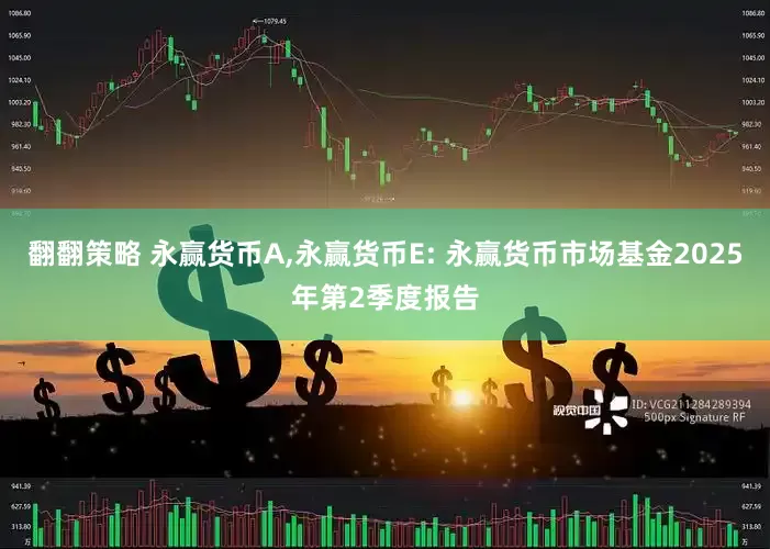 翻翻策略 永赢货币A,永赢货币E: 永赢货币市场基金2025年第2季度报告
