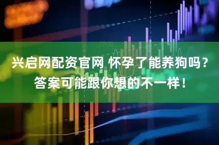 兴启网配资官网 怀孕了能养狗吗？答案可能跟你想的不一样！